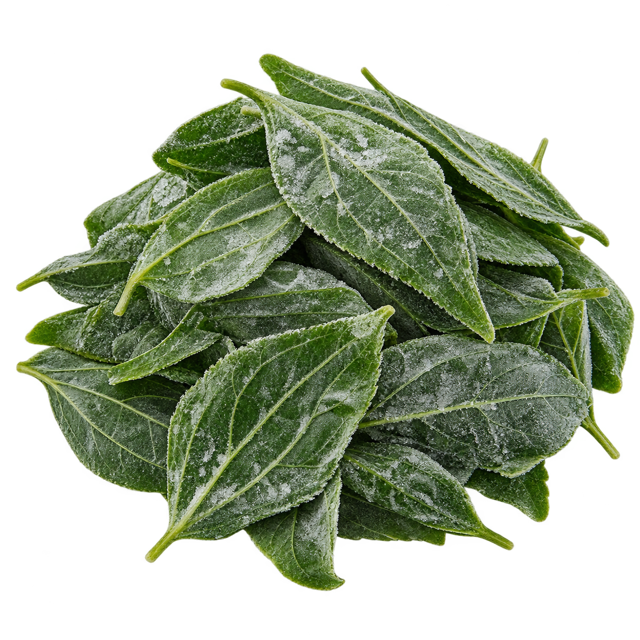 Frozen Mallow Leaves
