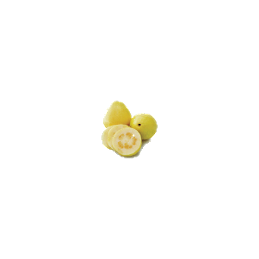 جوافة مجمدة