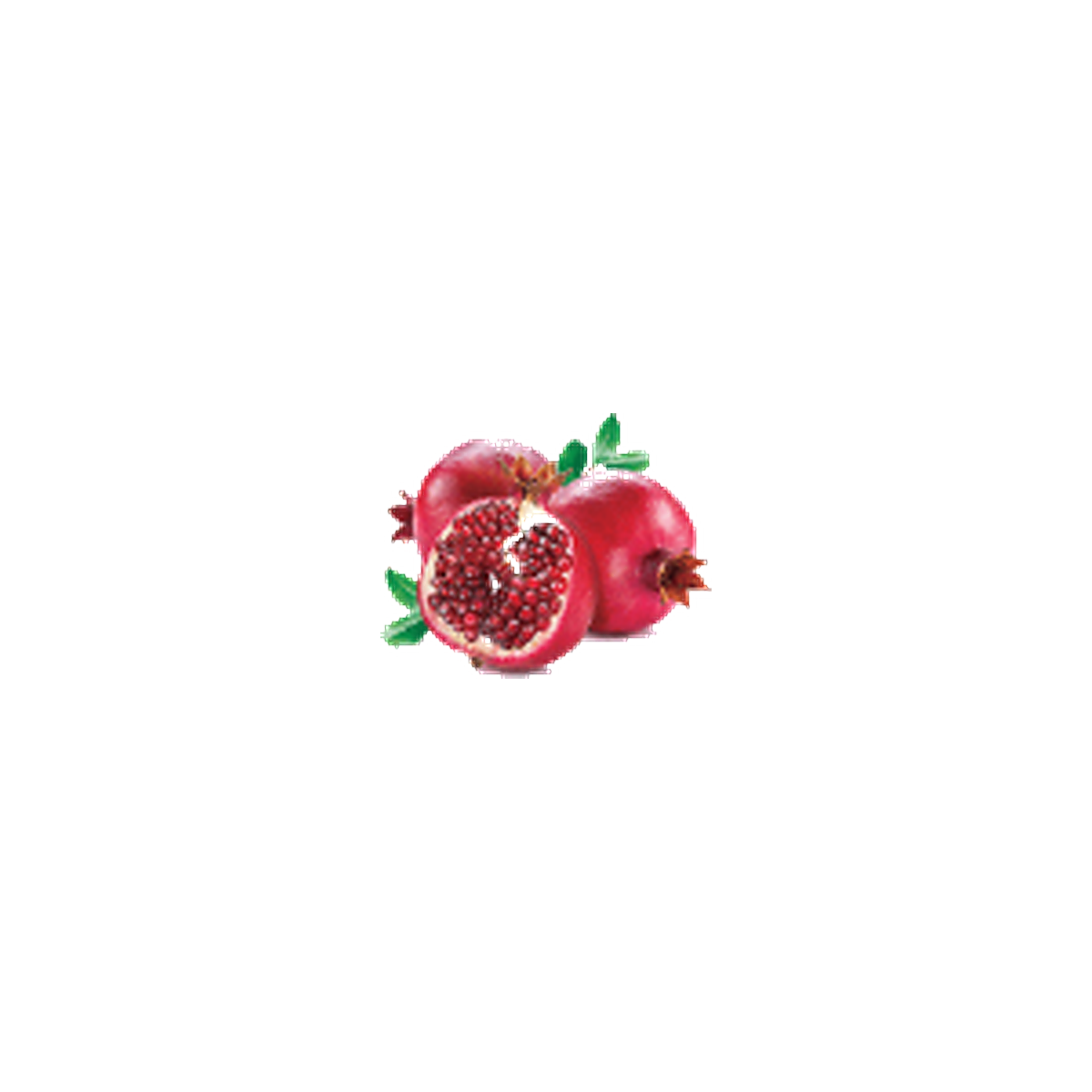 رمان مجمد